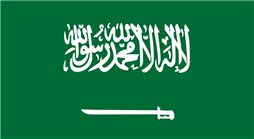 السعودية تنضم إلى اتفاقية النقل البري الدولي