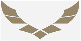 AYLA Aviation Academy